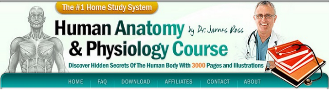 Human Anatomy and Physiology